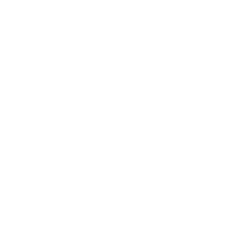 Skandinaviska Läkarbanken